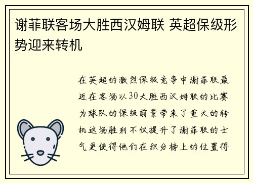 谢菲联客场大胜西汉姆联 英超保级形势迎来转机 谢菲联客场大胜西汉姆联 英超保级形势迎来转机